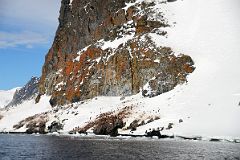 12B Penguin Colonies Below Lichen Clad Cliffs Of Cuverville Island From Zodiac On Quark Expeditions Antarctica Cruise.jpg
